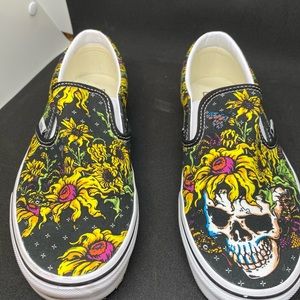 Used Beauty Skull Vans with original box